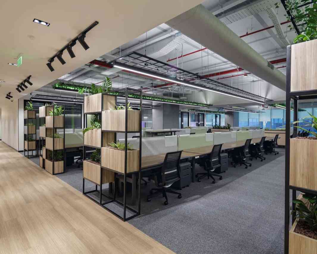 showcase-image